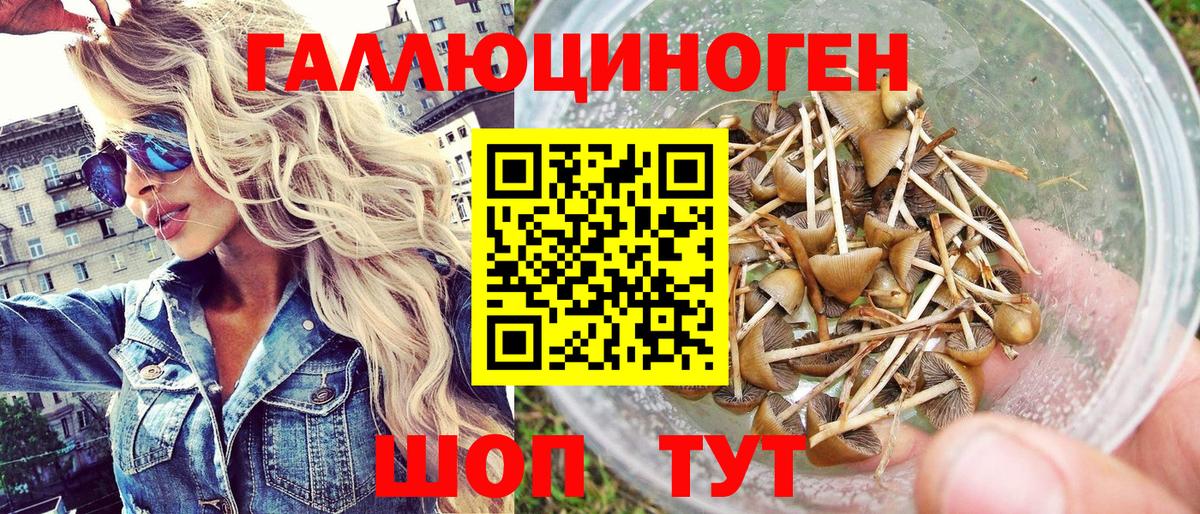 Галлюциногенные грибы Cubensis Дзержинск