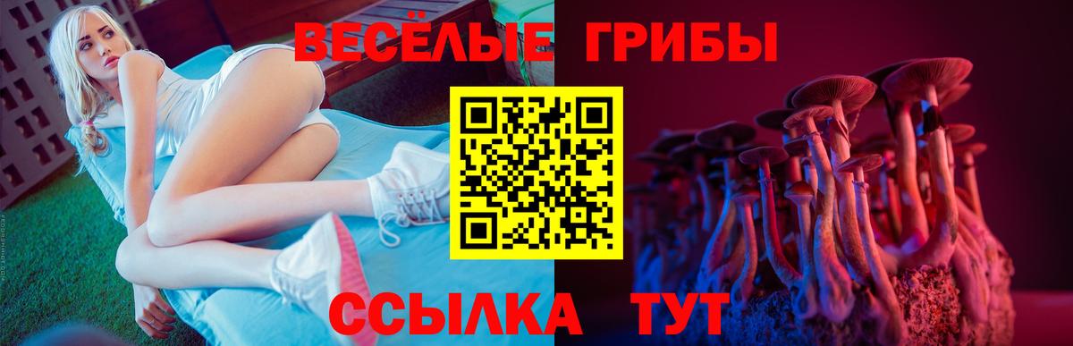 Псилоцибиновые грибы Magic Shrooms  Галлюциногенные грибы Psilocybine cubensis  Вход с VPN  Дзержинск 